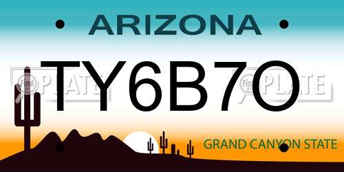 TY6B7O Arizona License Plate