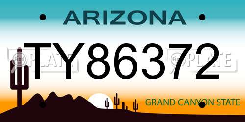 TY86372 Arizona License Plate