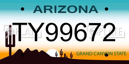 TY99672 Arizona License Plate