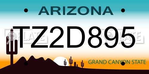 TZ2D895 Arizona License Plate