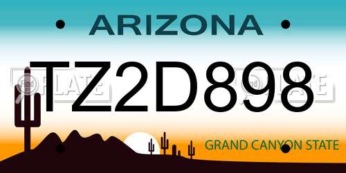 TZ2D898 Arizona License Plate