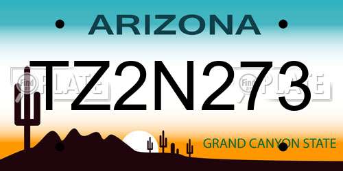 TZ2N273 Arizona License Plate