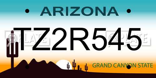 TZ2R545 Arizona License Plate