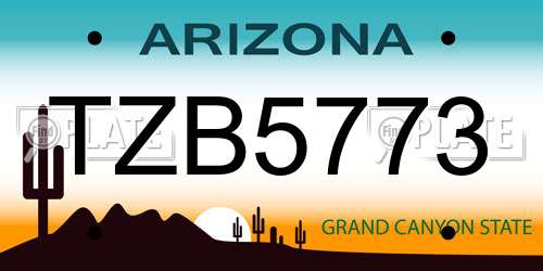 TZB5773 Arizona License Plate