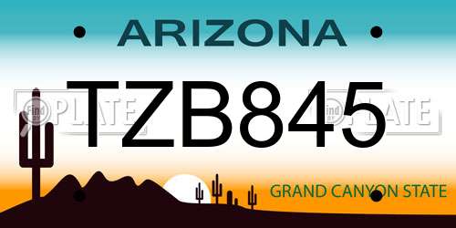 TZB845 Arizona License Plate