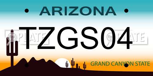 TZGS04 Arizona License Plate