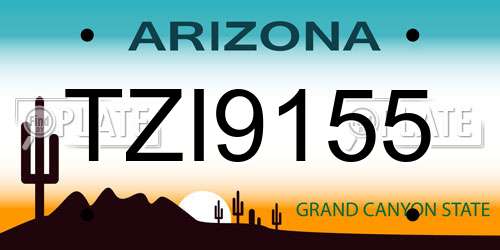TZI9155 Arizona License Plate