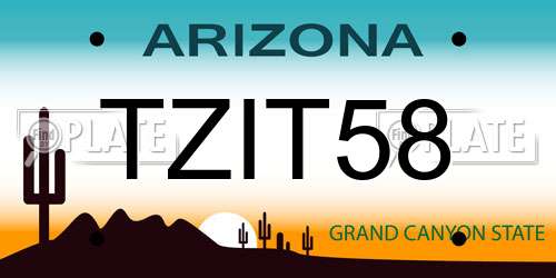TZIT58 Arizona License Plate