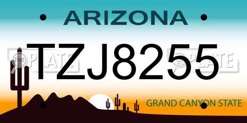TZJ8255 Arizona License Plate