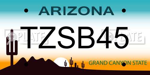 TZSB45 Arizona License Plate