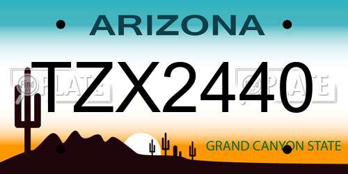 TZX2440 Arizona License Plate