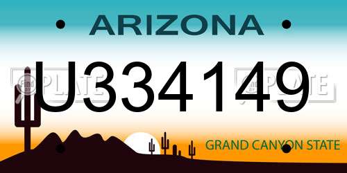 U334149 Arizona License Plate