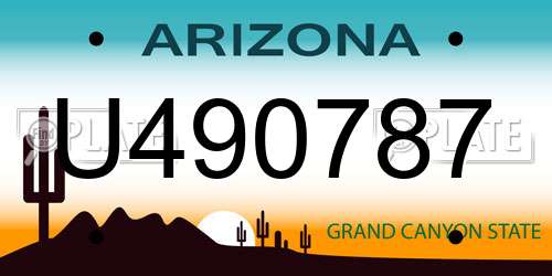 U490787 Arizona License Plate