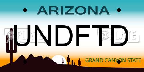 UNDFTD Arizona License Plate