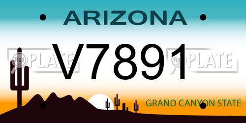 V7891 Arizona License Plate