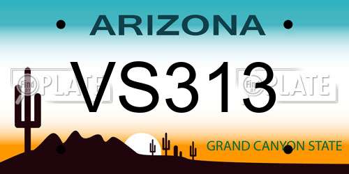 VS313 Arizona License Plate