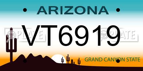 VT6919 Arizona License Plate