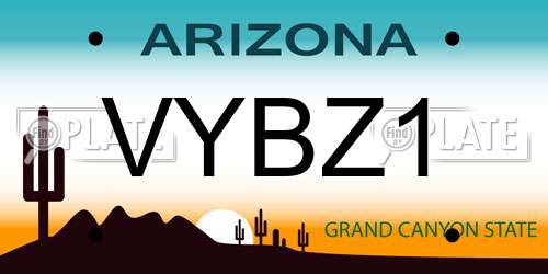 VYBZ1 Arizona License Plate