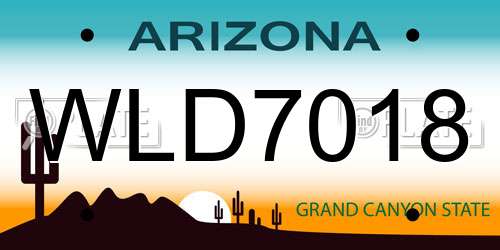 WLD7018 Arizona License Plate