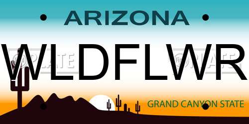 WLDFLWR Arizona License Plate