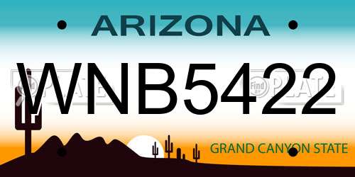 WNB5422 Arizona License Plate