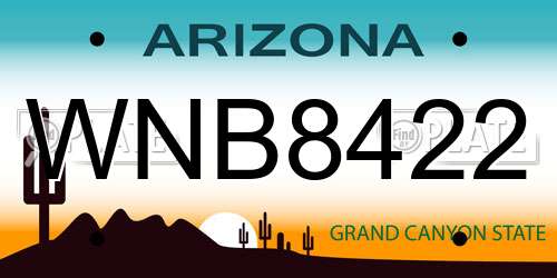WNB8422 Arizona License Plate