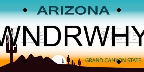 WNDRWHY Arizona License Plate