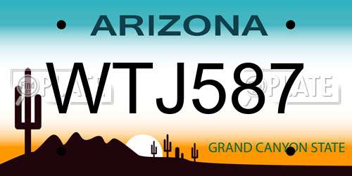 WTJ587 Arizona License Plate