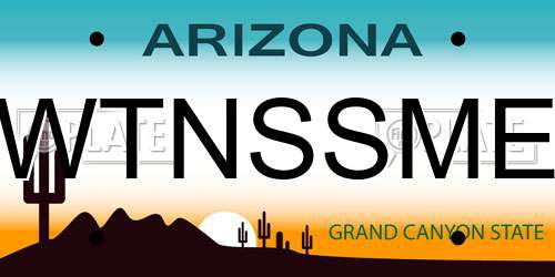 WTNSSME Arizona License Plate