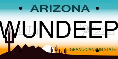 WUNDEEP Arizona License Plate