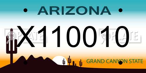 X110010 Arizona License Plate