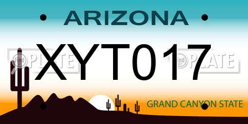 XYT017 Arizona License Plate