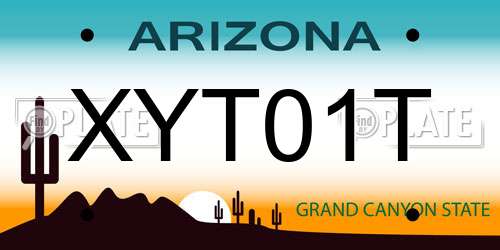 XYT01T Arizona License Plate
