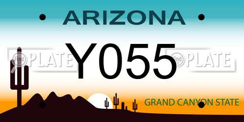 Y055 Arizona License Plate