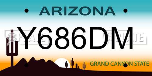 Y686DM Arizona License Plate