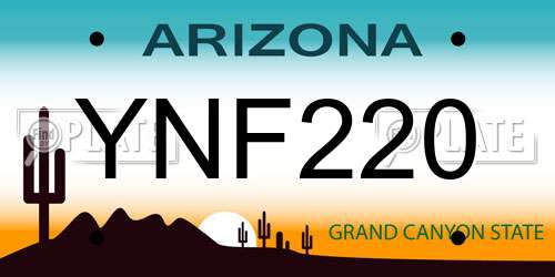 YNF220 Arizona License Plate