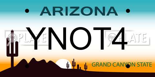 YNOT4 Arizona License Plate