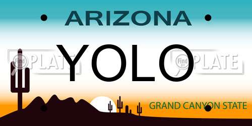 YOLO Arizona License Plate