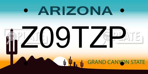Z09TZP Arizona License Plate