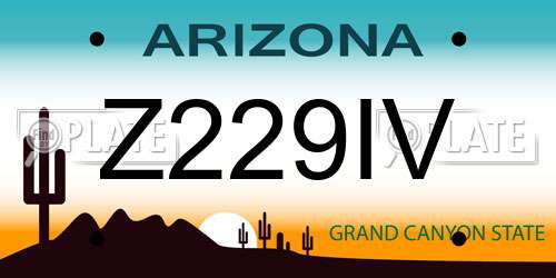 Z229IV Arizona License Plate