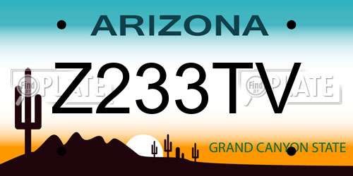 Z233TV Arizona License Plate