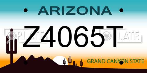 Z4065T Arizona License Plate