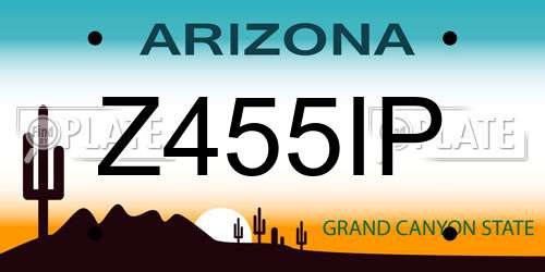 Z455IP Arizona License Plate