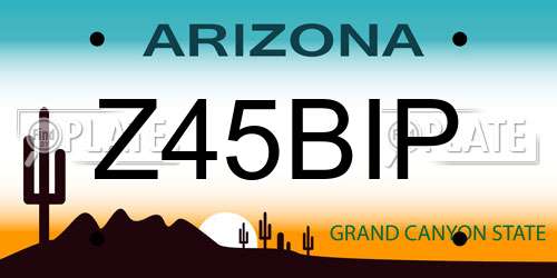 Z45BIP Arizona License Plate