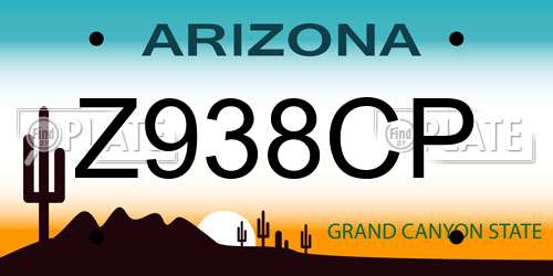 Z938CP Arizona License Plate