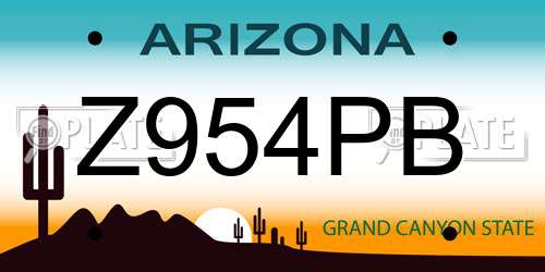 Z954PB Arizona License Plate