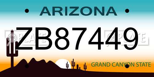ZB87449 Arizona License Plate