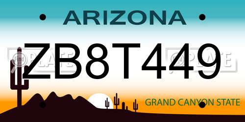 ZB8T449 Arizona License Plate