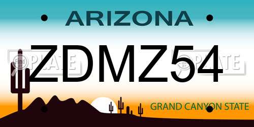 ZDMZ54 Arizona License Plate