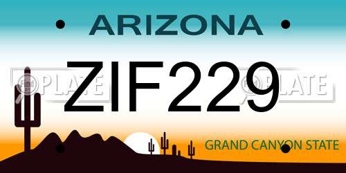 ZIF229 Arizona License Plate